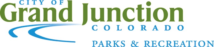 Lincoln Park Moyer Pool