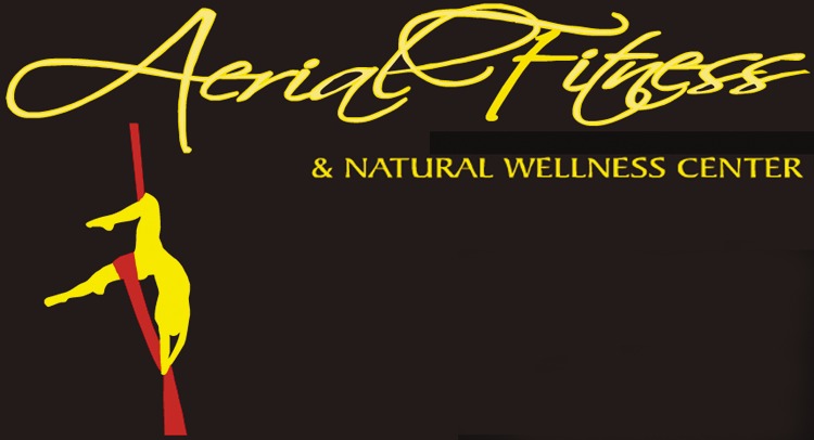 Aerial Fitness