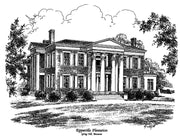Rippavilla Plantation