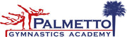 Palmetto Gymnastics Academy