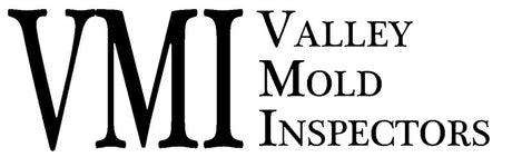 VMI - Valley Mold Inspectors