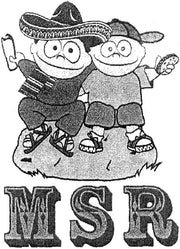 MSR