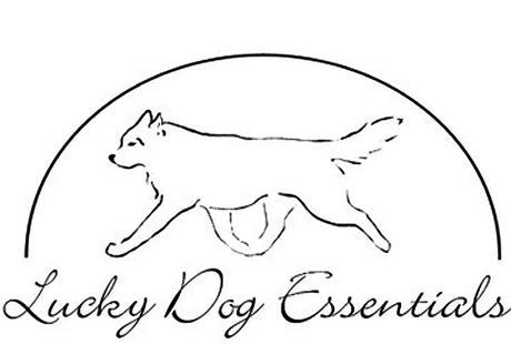 Lucky Dog Essentials