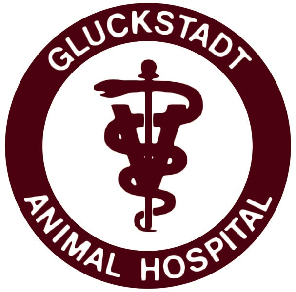 Gluckstadt Animal Hospital