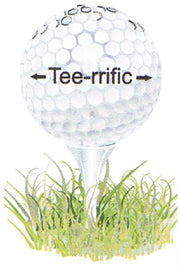 Tee-rrific Golf Center