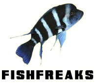 Fish Freaks