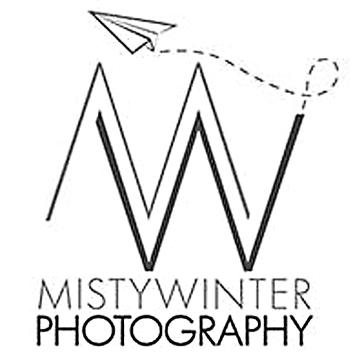 Misty Winter Photography